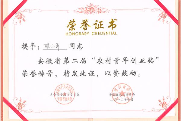 荣誉资质