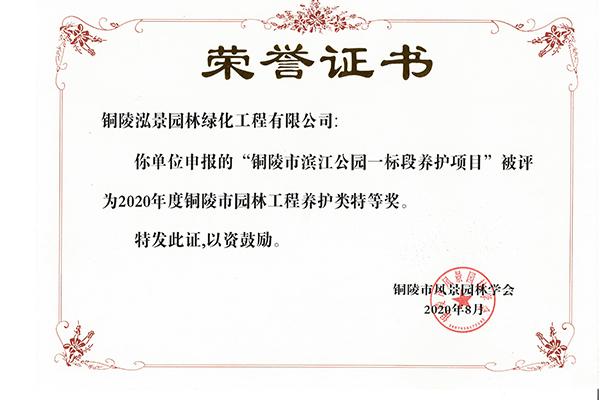荣誉资质