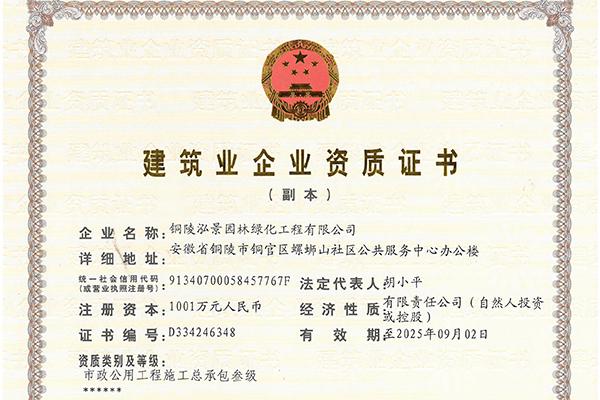 荣誉资质