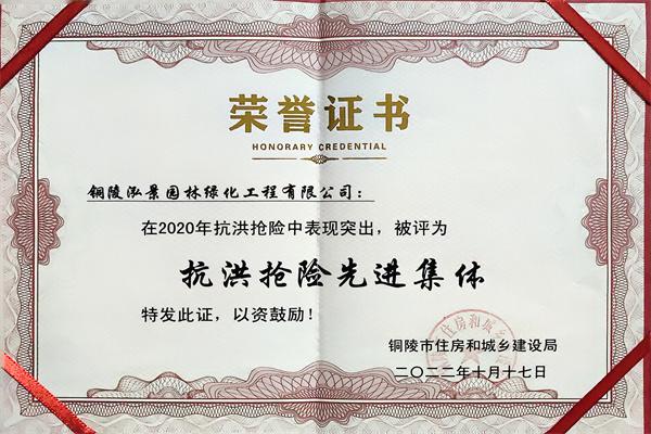 荣誉证书